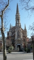 P1010600.jpg