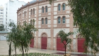 P1010653.jpg