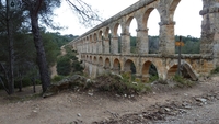 P1010664.jpg