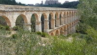 P1010670.jpg