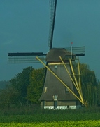 P1050290a.jpg
